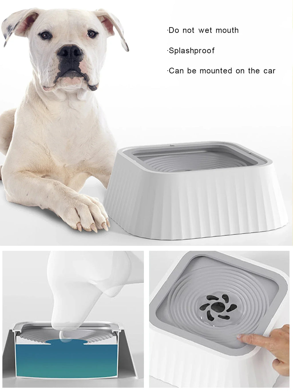 Pet Water Fountain