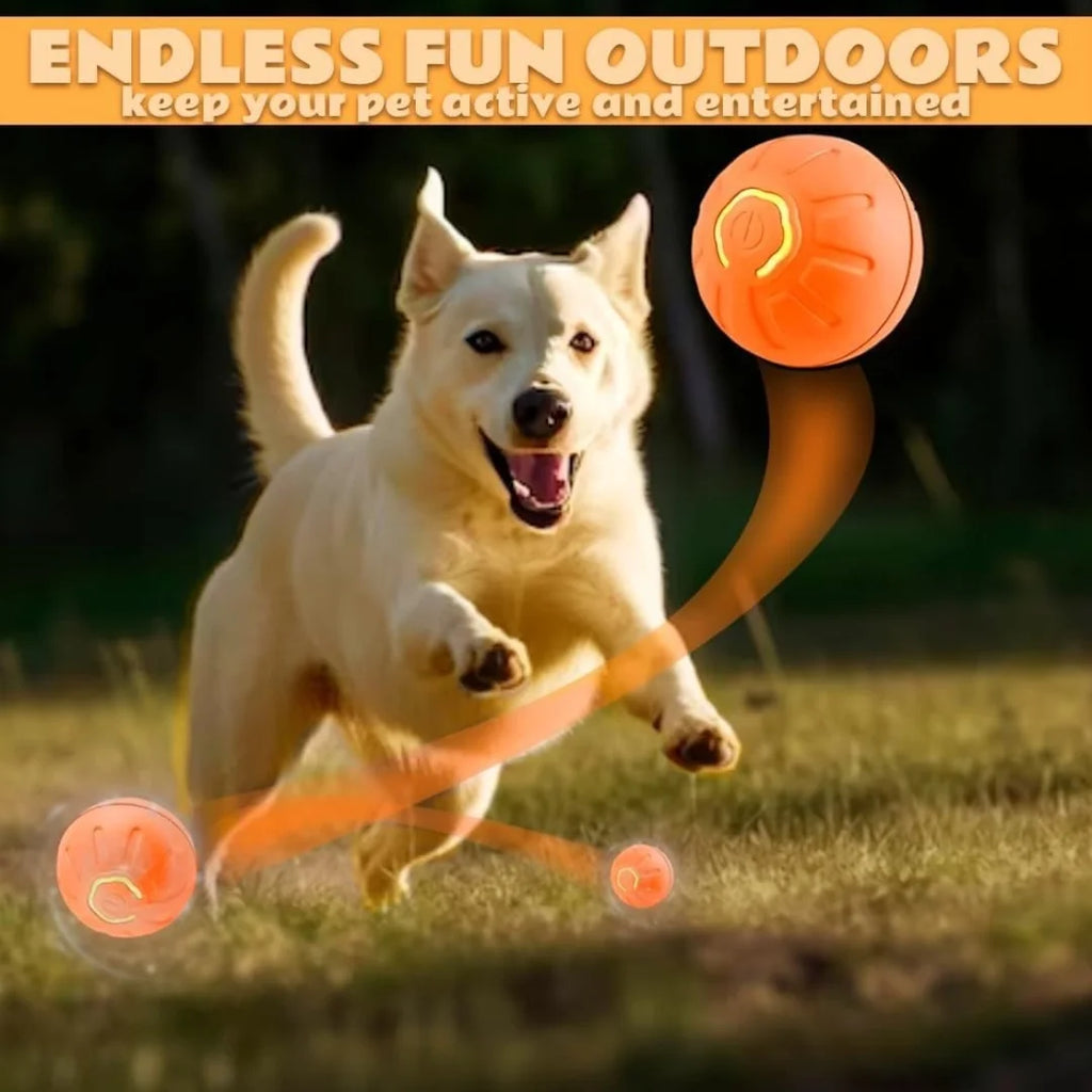 Electric Pet Smart Bouncing Ball