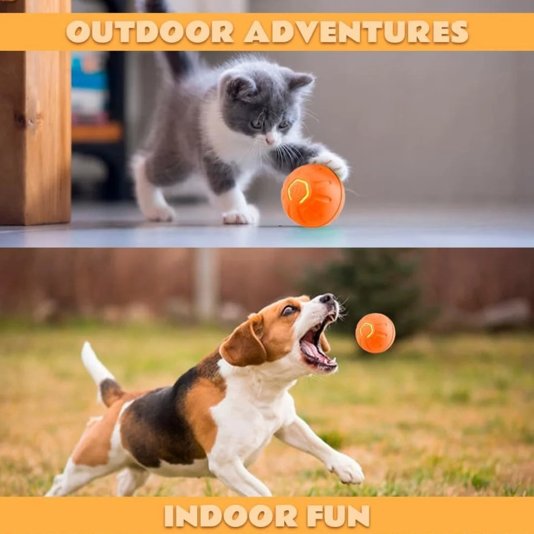 Electric Pet Smart Bouncing Ball