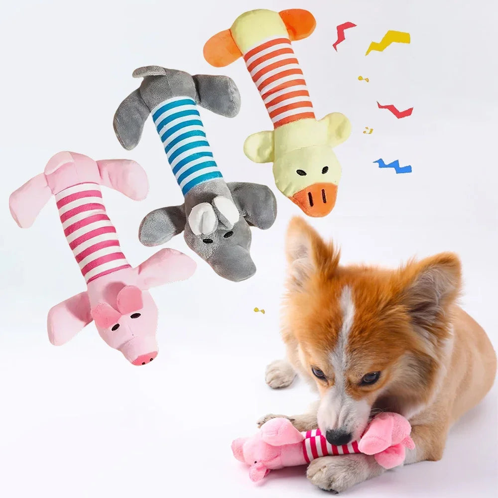 Pets toys