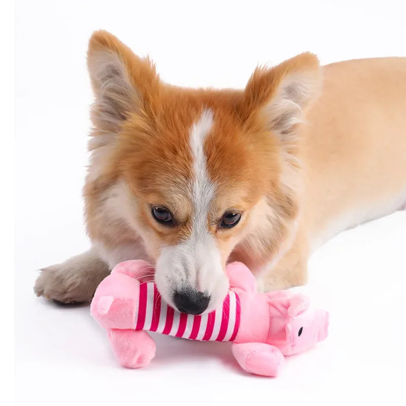 Pets toys