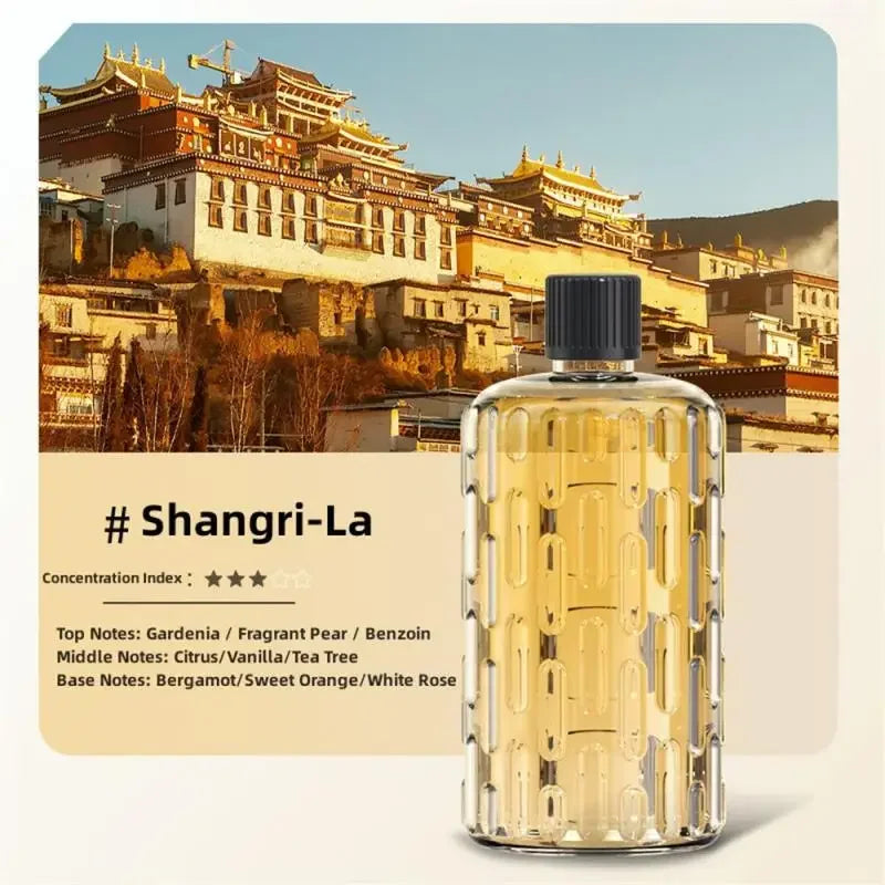 Aroma Diffuser Humidifier Fragrance