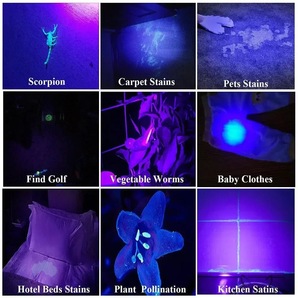 UV Flashlight Blacklight