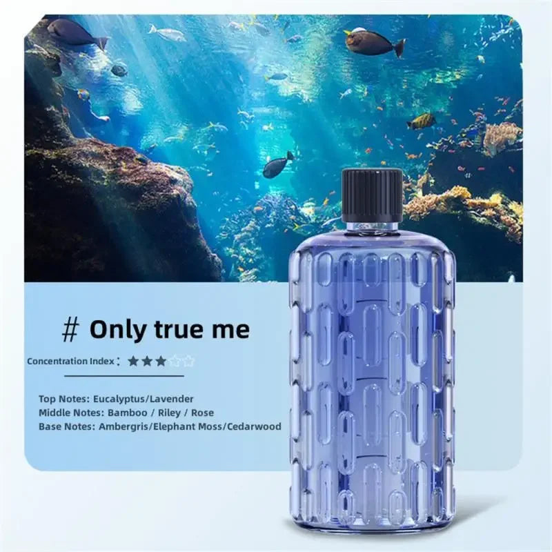 Aroma Diffuser Humidifier Fragrance